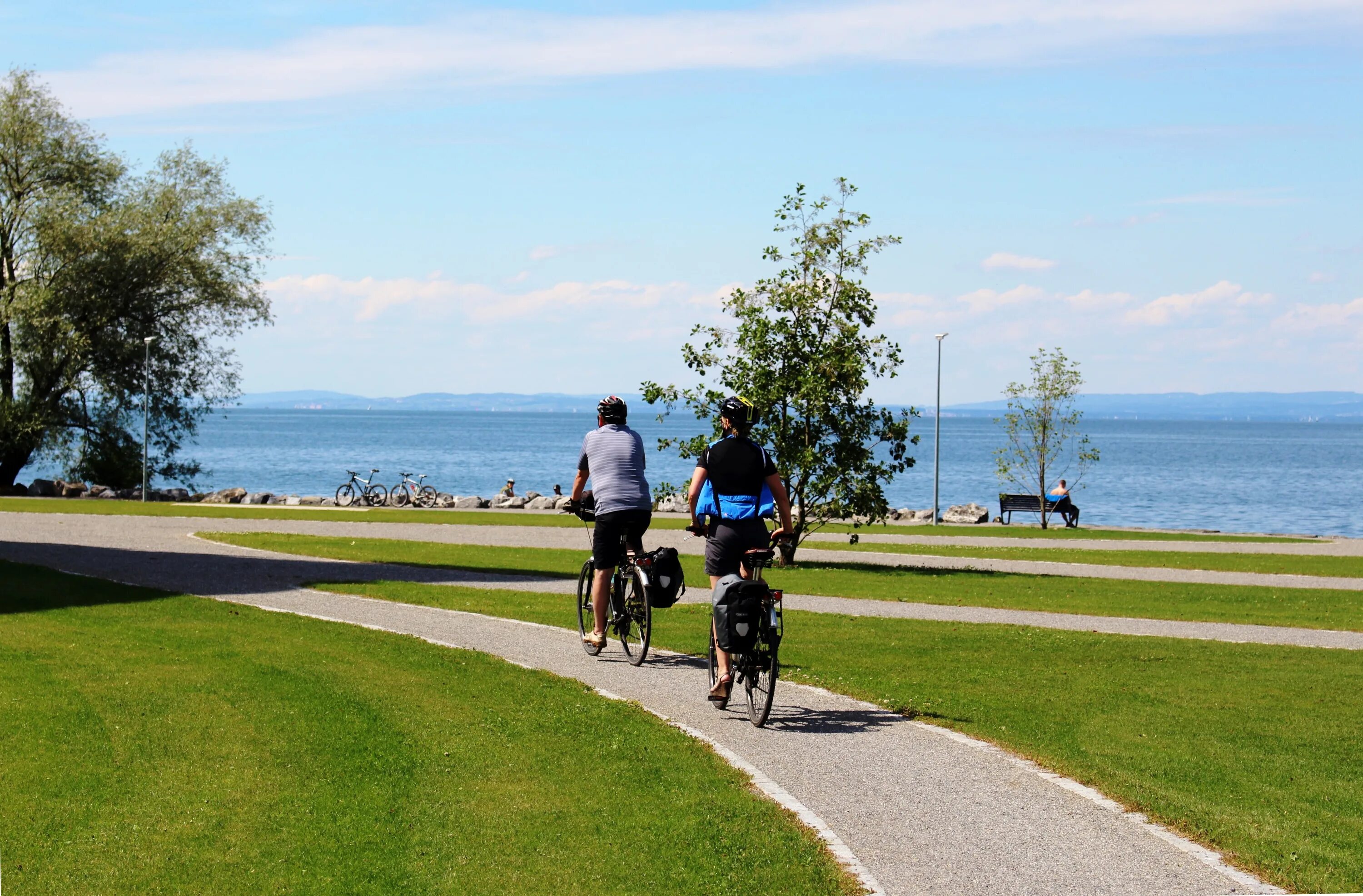 Какое вы место для прогулок. Боденское озеро велодорожки. Батуми набережная велодорожка. Пешеходная и велосипедная дорожка. Велосипедные дорожки на побережье.