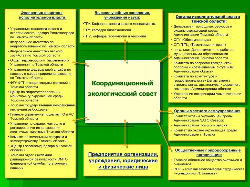 Охрана окружающей среды органы местного самоуправления. Органы исполнительной власти Томской области. Охрана окружающей среды и органы власти. Государственные органы охраны природной среды. Органы исполнительной власти в окружающей среде.