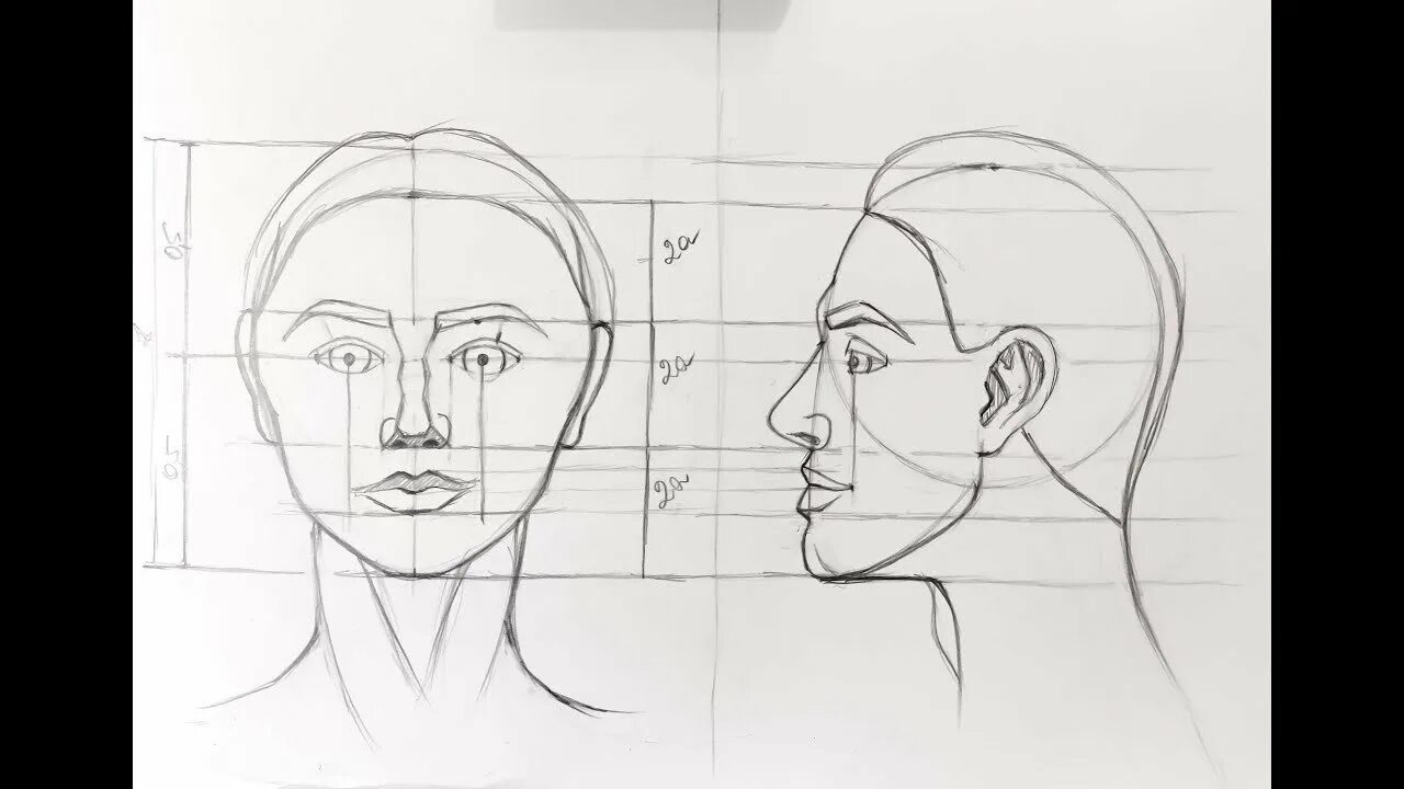Рисунок лица 1 3. Пропорции лица человека профиль и анфас. Схема головы человека в профиль и анфас. Пропорции головы человека анфас или профиль. Пропорции человеческого лица анфас и профиль.
