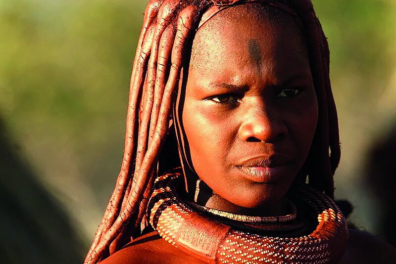 Tribe himba купить