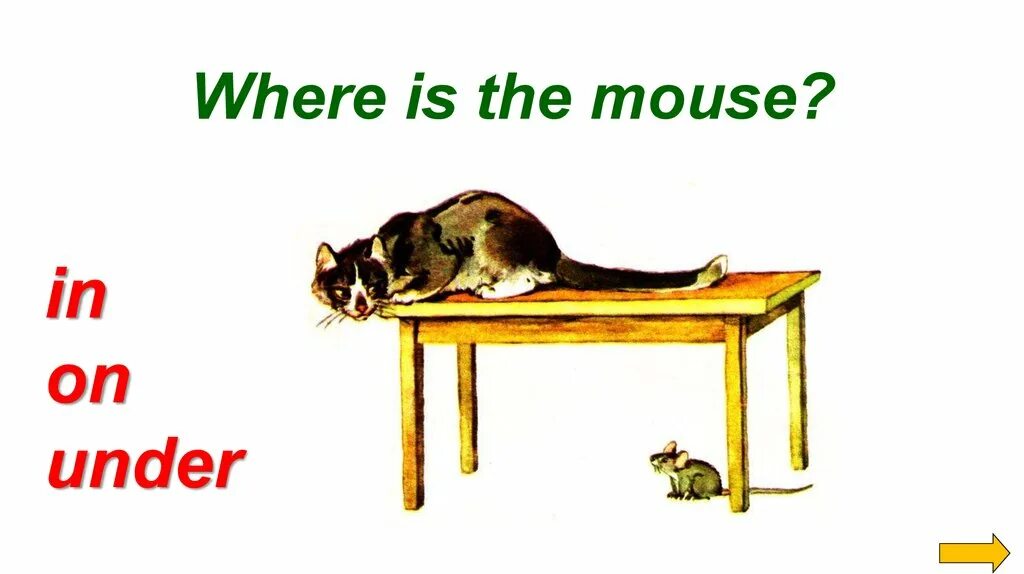 The mice on the table. Where is the cat. where is the mouse. where is.