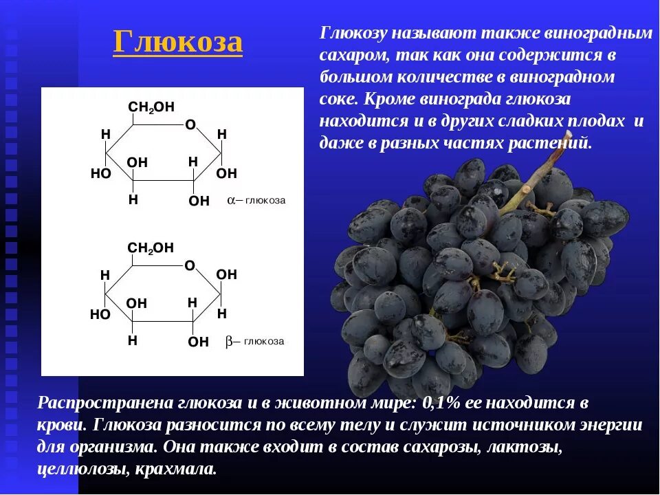 Состоит двух представляет собой
