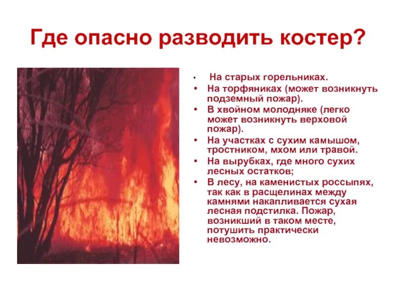 Подземный пожар и верховой. Пожар который невозможно потушить. Верховой пожар в лесу. Где могут происходить пожары. Опасность подземных пожаров.