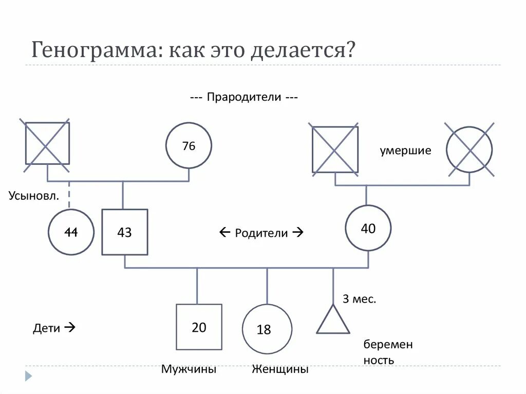 Генограмма пример с описанием и анализом. Генограмма семьи. генограмма боуэн. техника генограмма семьи. методика генограмма семьи.