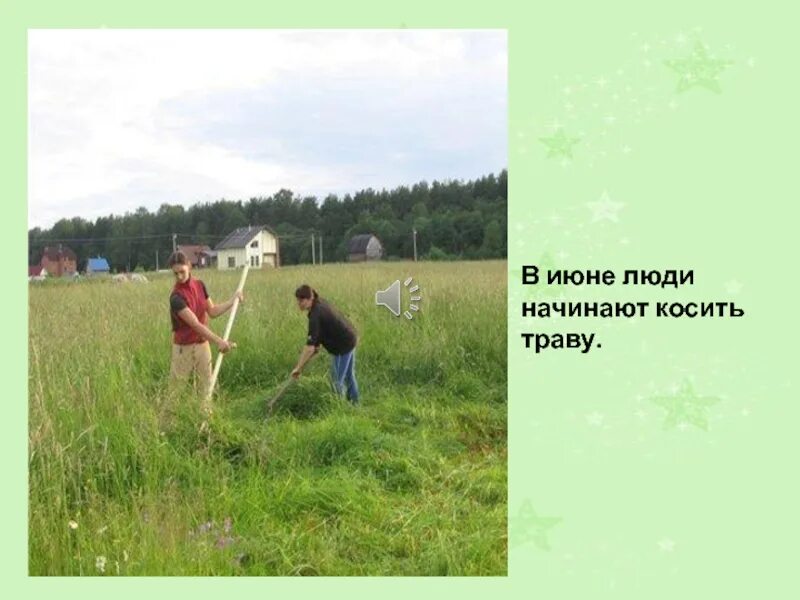 Почему луг начинают косить из центра. Лето презентация. стихи,чтобы не косили траву. почему луг косят из центра двигаясь по кругу. как нужно правильно скашивать траву окружающий мир.
