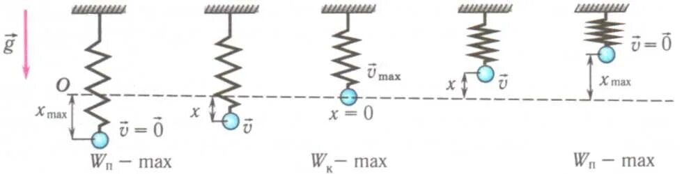 Кинетическая энергия груза максимально в положении. Потенциальная и кинетическая энергия пружинного маятника. Энергия колебаний пружинного маятника формула. Маятникепревращение энергии в пружинном маятнике. Превращение энергии при колебаниях пружинного мая.