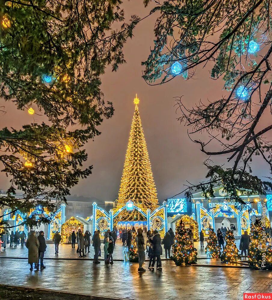 фото елки белгород 2023. фото елки белгород 2023. новый год в городе. белгород соборная площадь новый год. елка в белгороде 2021 на площади.