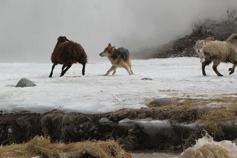 Морена Баккариннің жалаңаш суреттері