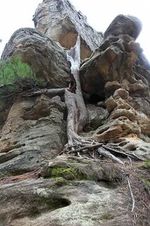 Столбы каменный город