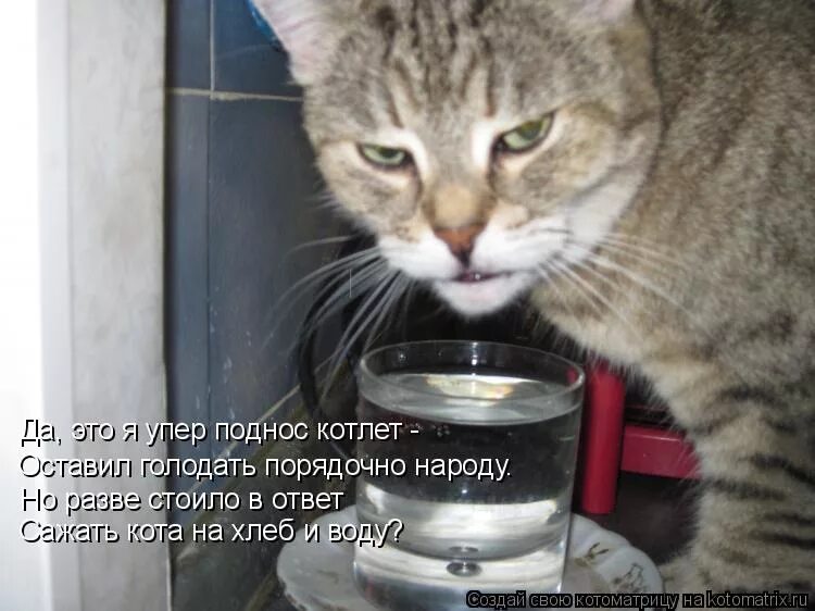 Никогда не пил