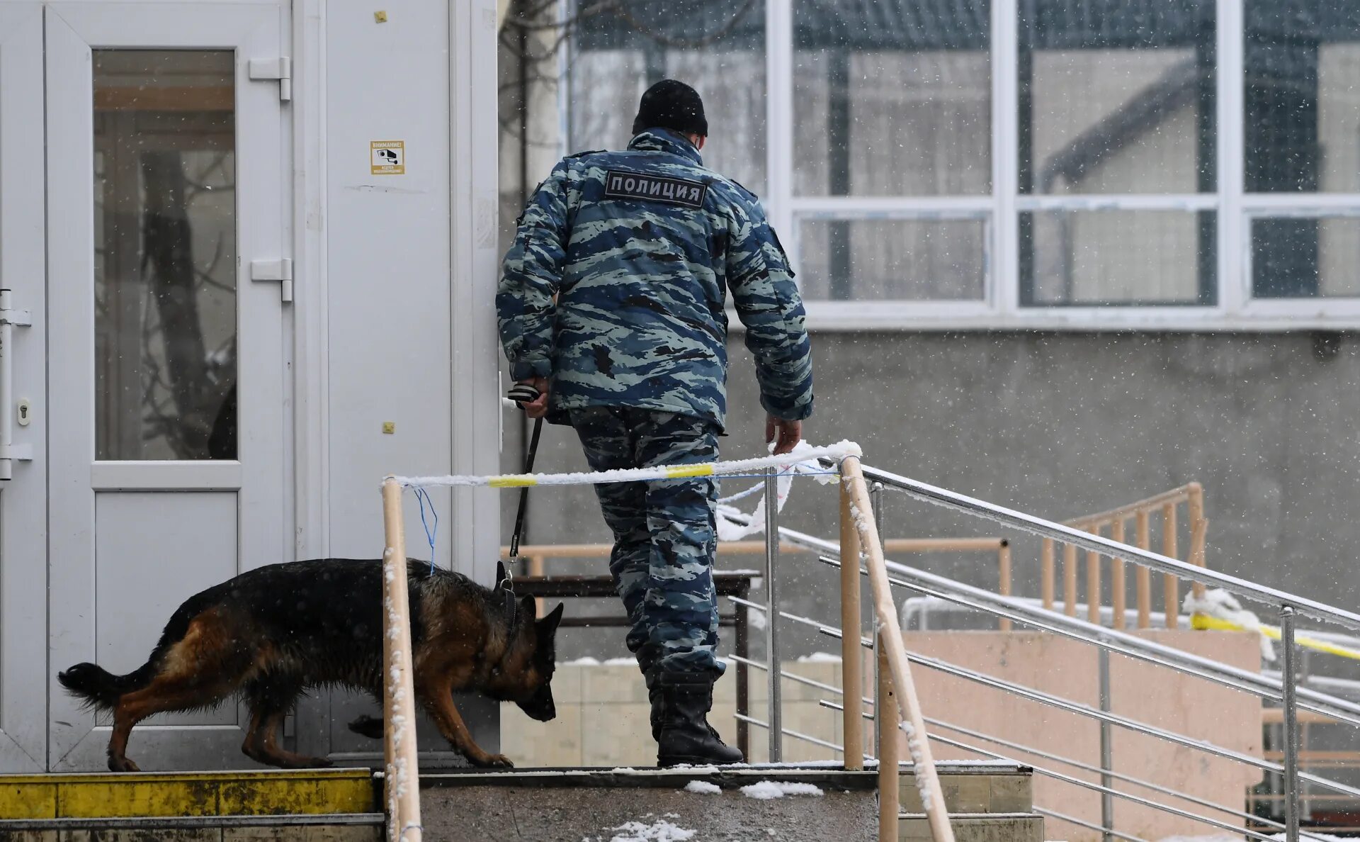 Минирование школ. Минирование полиция школа. Минирование Россия школы. Полиция Камчатка. Школа заминирована новости