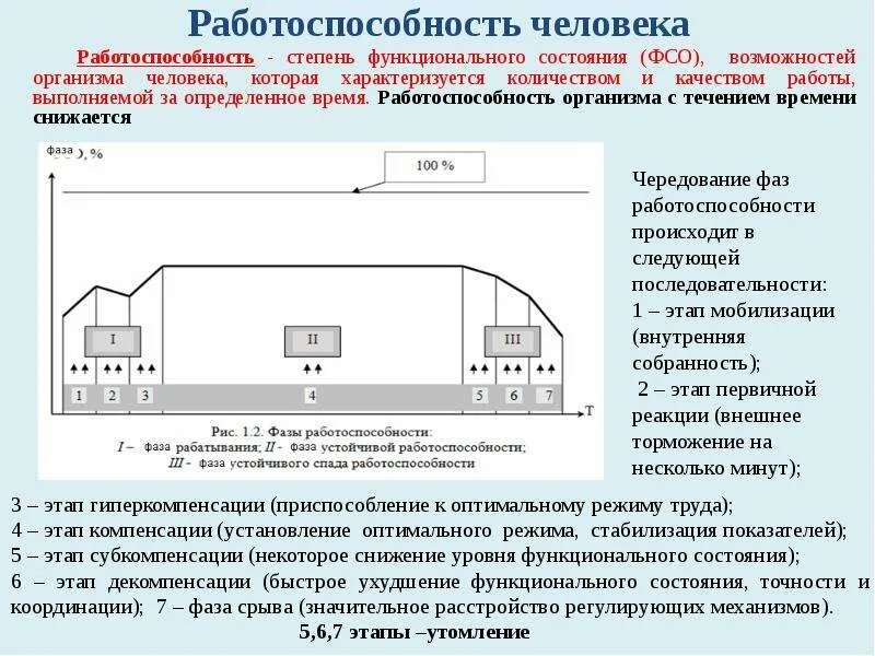 Какая стадия работоспособности. Работоспособность и функциональные состояния. Стадии работоспособности. Виды работоспособности человека БЖД. Работоспособность человека.