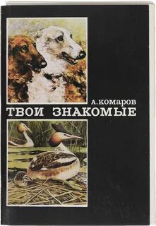 Твоя знакомая