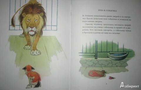 Рассказ льва николаевича толстого лев и собачка