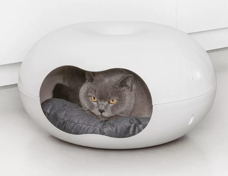 Лежанка для кошки. Сфера лежанка для кошки. Когтеточка гофрокартон homecat круглая. Домик для кота дизайнерский. Необычные лежанки для животных.