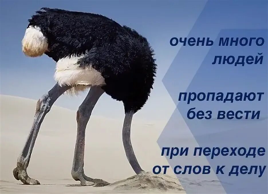 Побольше нету