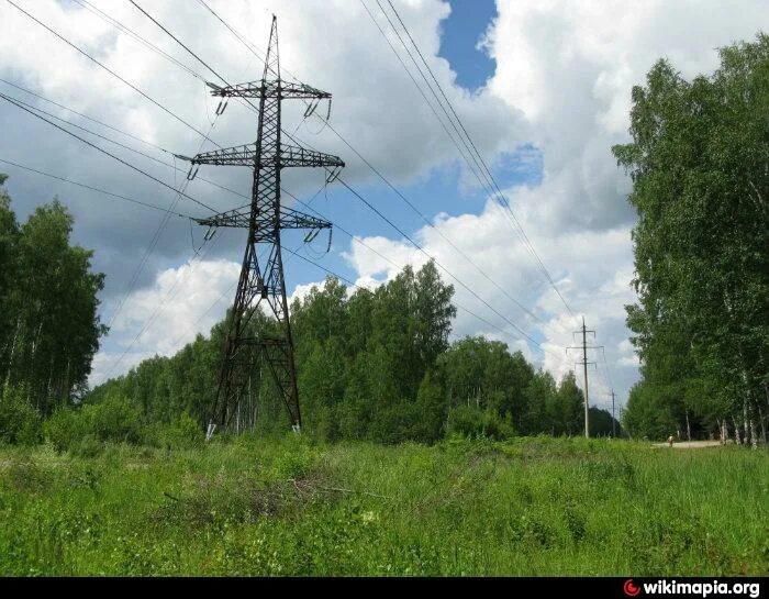 Просека в лесу. Лесная просека. Невская просека. Просека оригинал. Просека вл 10 кв.