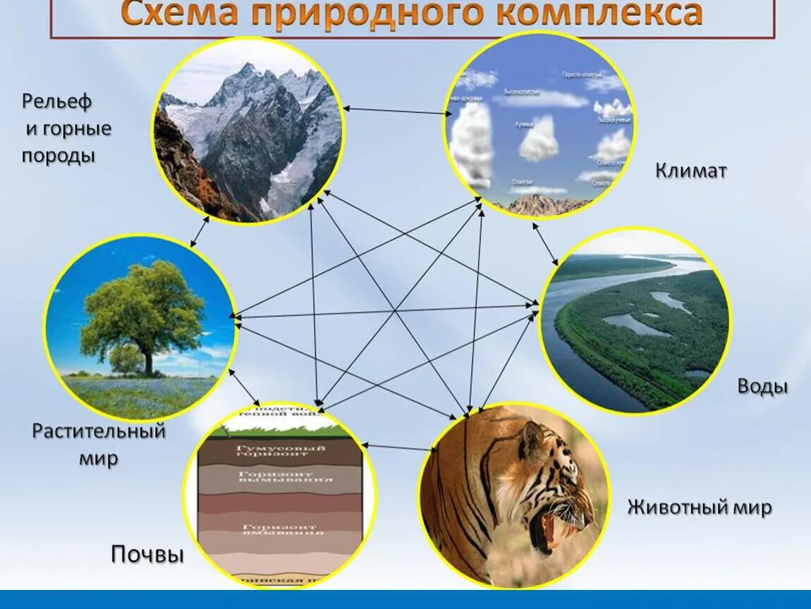 Географическая оболочка земли схема. Схема природного комплекса. Схема природного территориального комплекса. Природаттерриториальный комплекс. Какие из перечисленных природных объектов располагаются