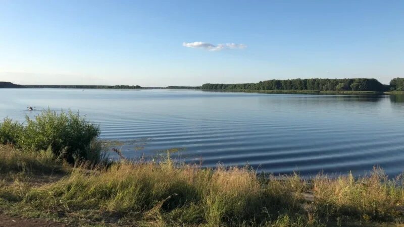 Староюрьево шушпанское водохранилище. Шушпанское водохранилище. Староюрьево тамбовская область шушпанское водохранилище. Староюрьево тамбовская область шушпанское водохранилище. Тамбов шушпанское водохранилище.