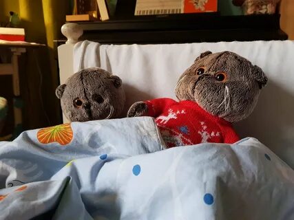 Басики надо