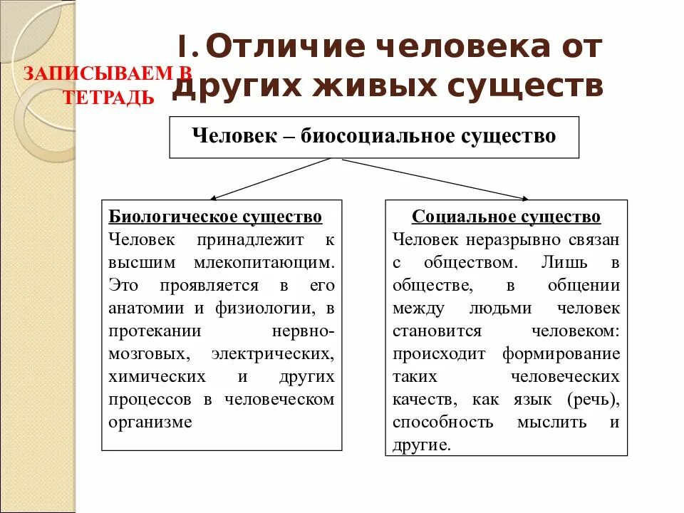 Человек биосоциальное существо. Человек как биологическое и социальное существо. Человек биосоциальное существо биологическое и социальное. Человек биосоциальное существо схема. Что может отличать человека от других