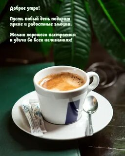 Утро коллега