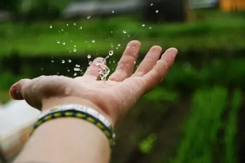Rain friends