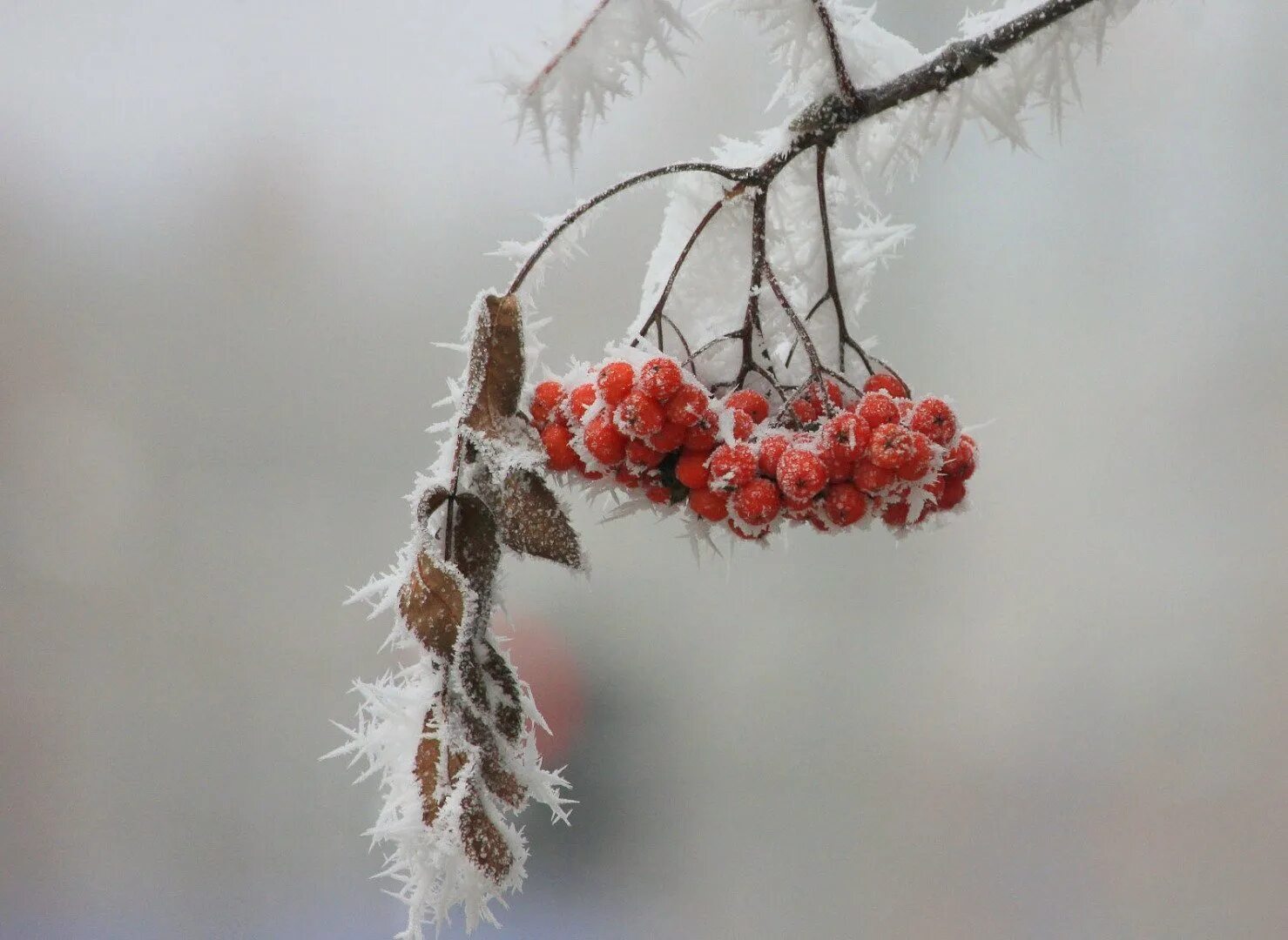 Преддверие зимы