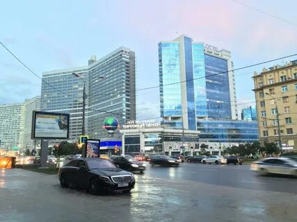 Новый арбат 30 9 кафе с капибарами