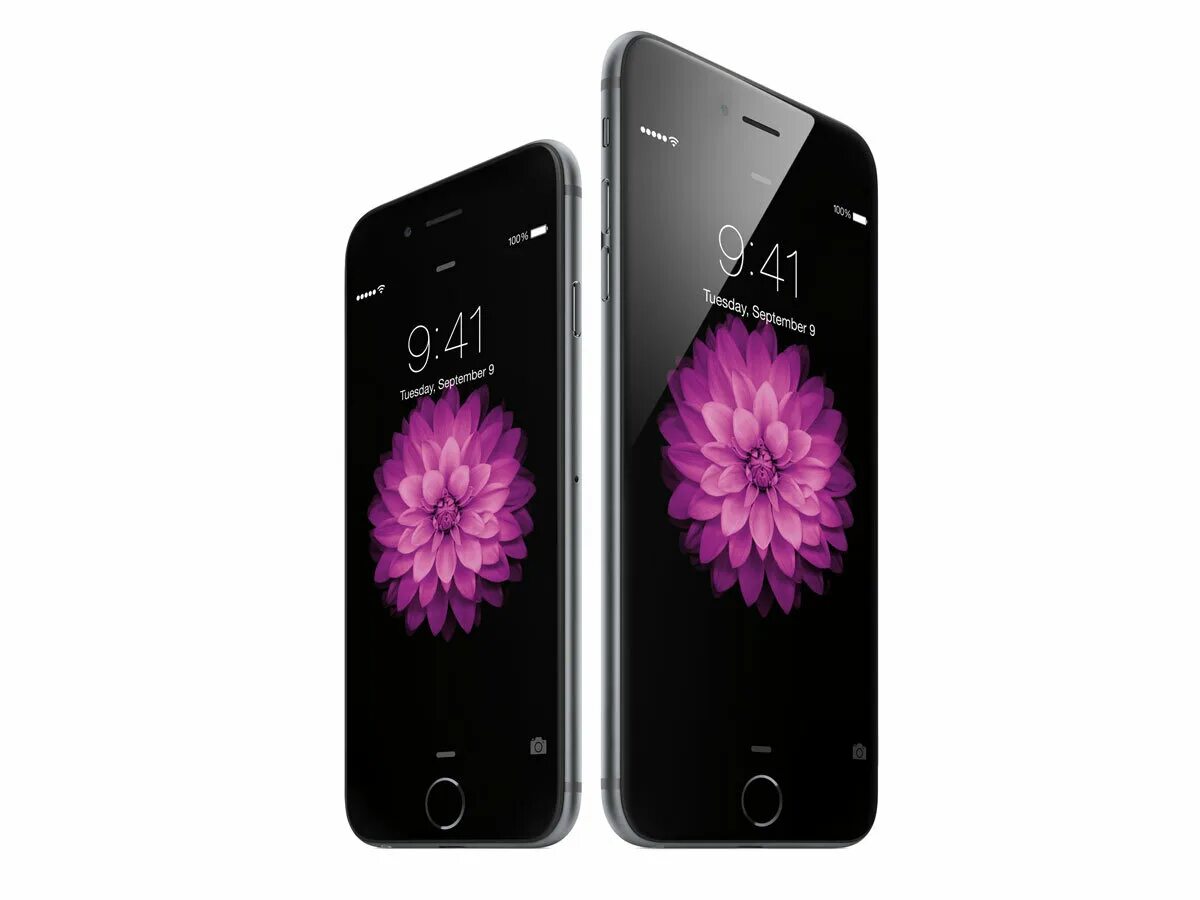 37 плюс 6. Apple iphone 6. Айфон 6 плюс. Iphone 6 iphone 6 Plus. Айфон 6 диагональ.