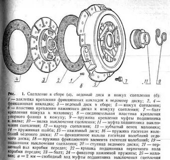 Укажите варианты ответов сцепление