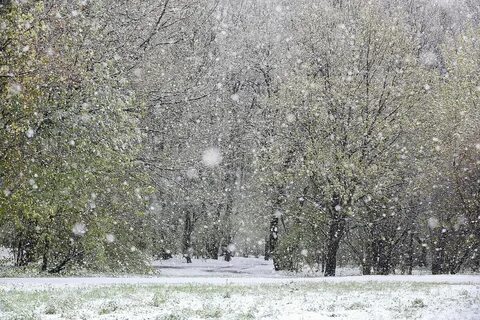 Мартовский снегопад