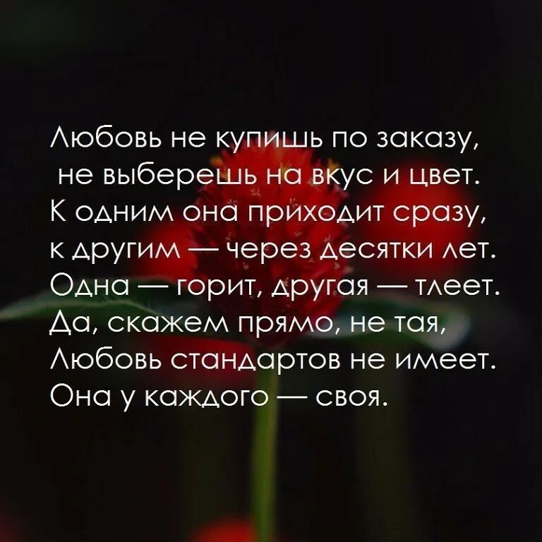 Через десять лет у каждого брата
