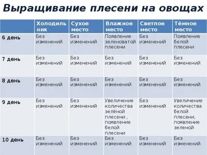 Выращивание плесени на хлебе практическая