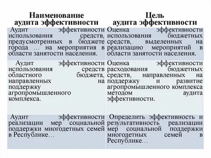 Оценка эффективности и контроль эффективности аудит