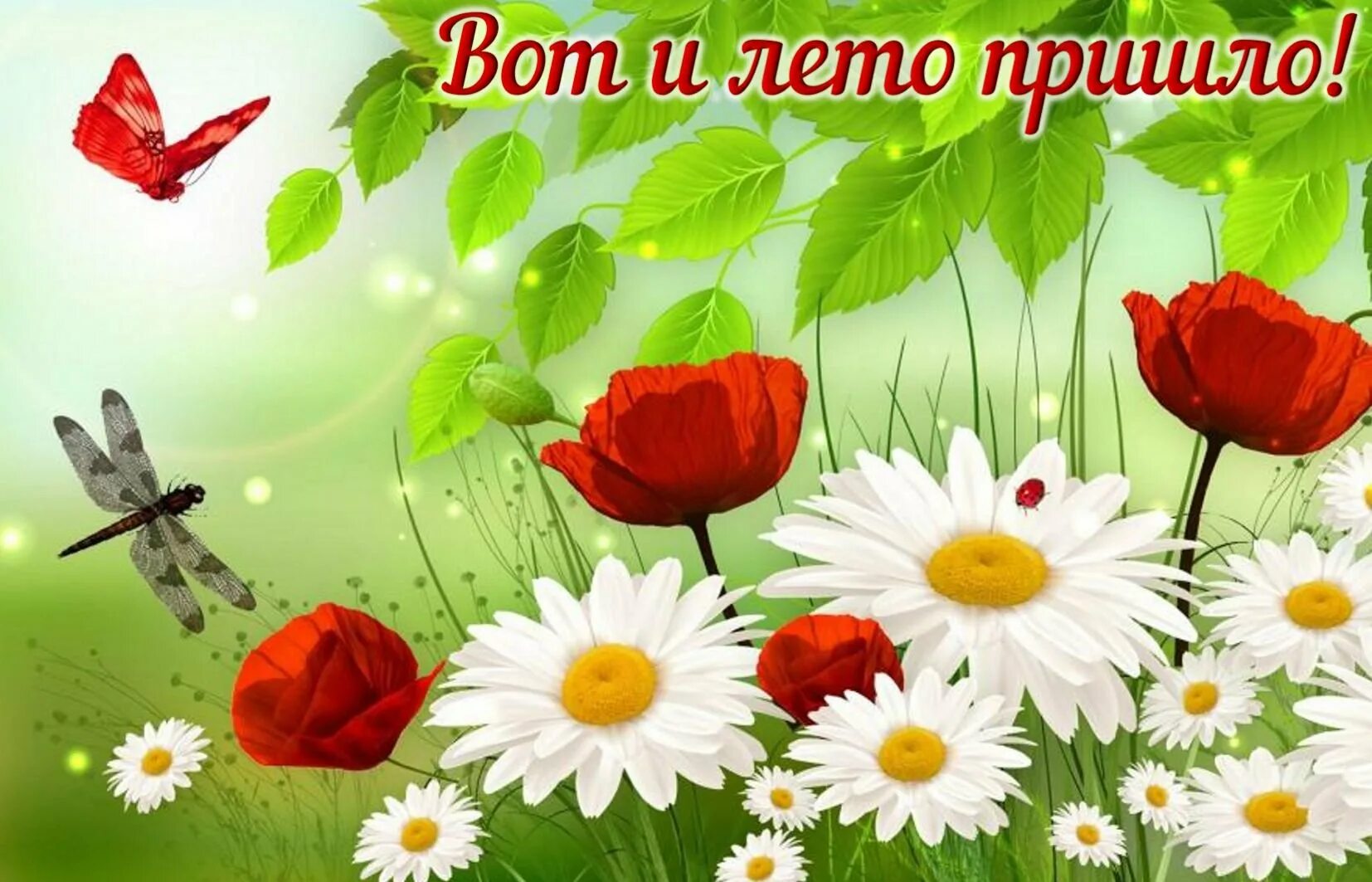 Дне лето. Дне лето. 1 июня поздравление с первым днем лета. Дне лето. С летом.