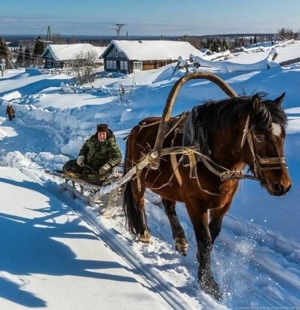 Лошадка плетется рысью как нибудь