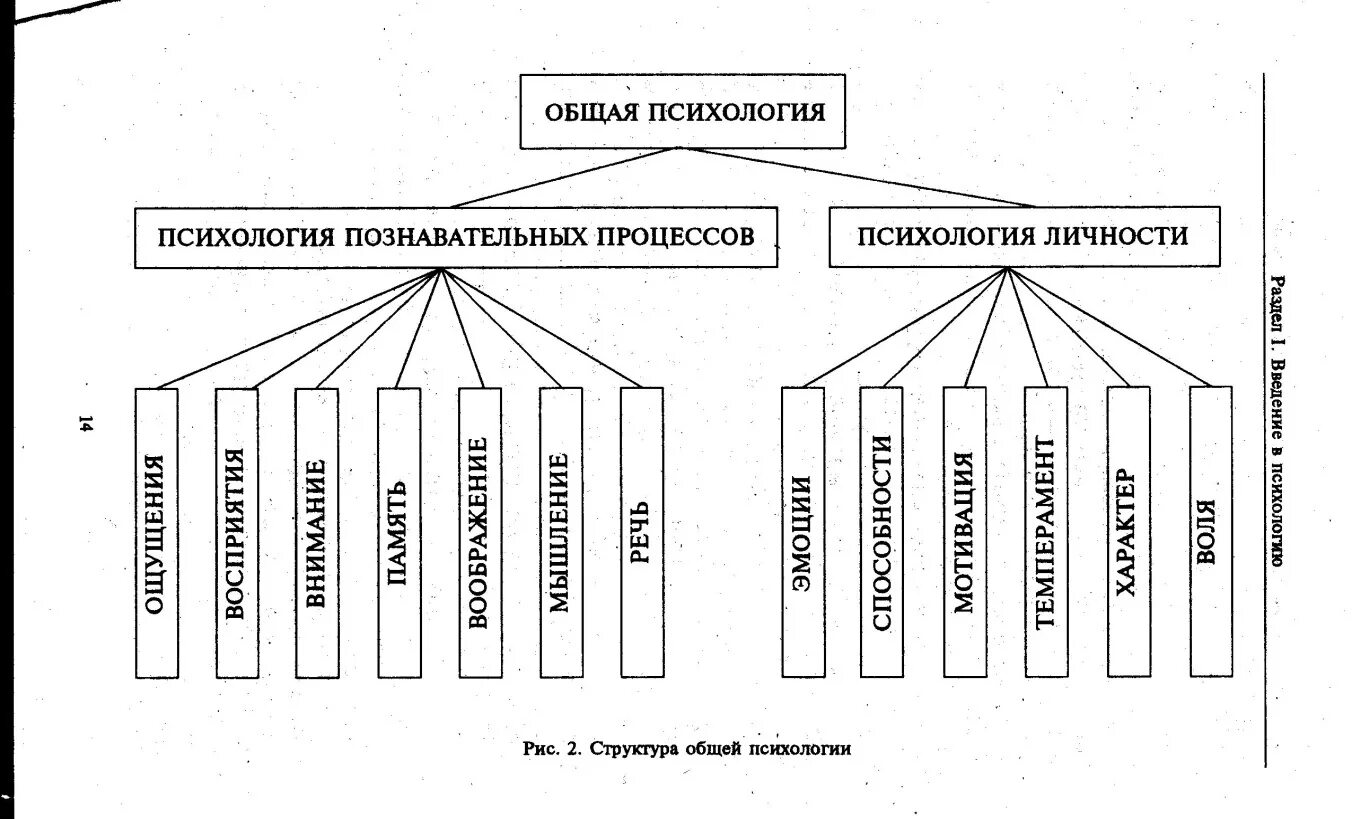 Отрасли психологии схема. Приемы массажа. Познавательные процессы. Основные приемы классического массажа. Психология группы тесты