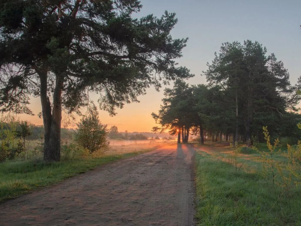 Заречный парк киров. Заречный парк Луга. Луга Заречный парк Калуга. Природа Кирова.