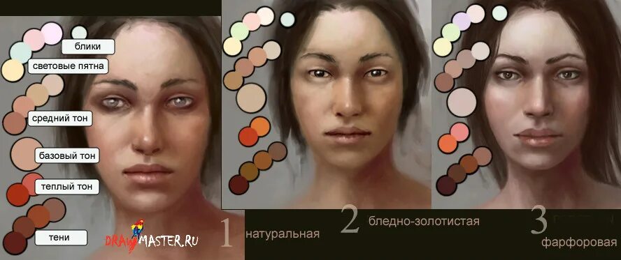 Цветная палитра портрета. Какие цвета для портрета. Цвета лица для рисования. Тона кожи палитра для рисования. Палитра для портрета.