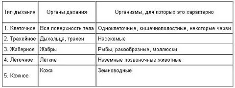 Дыхание животных 8 класс биология конспект урока