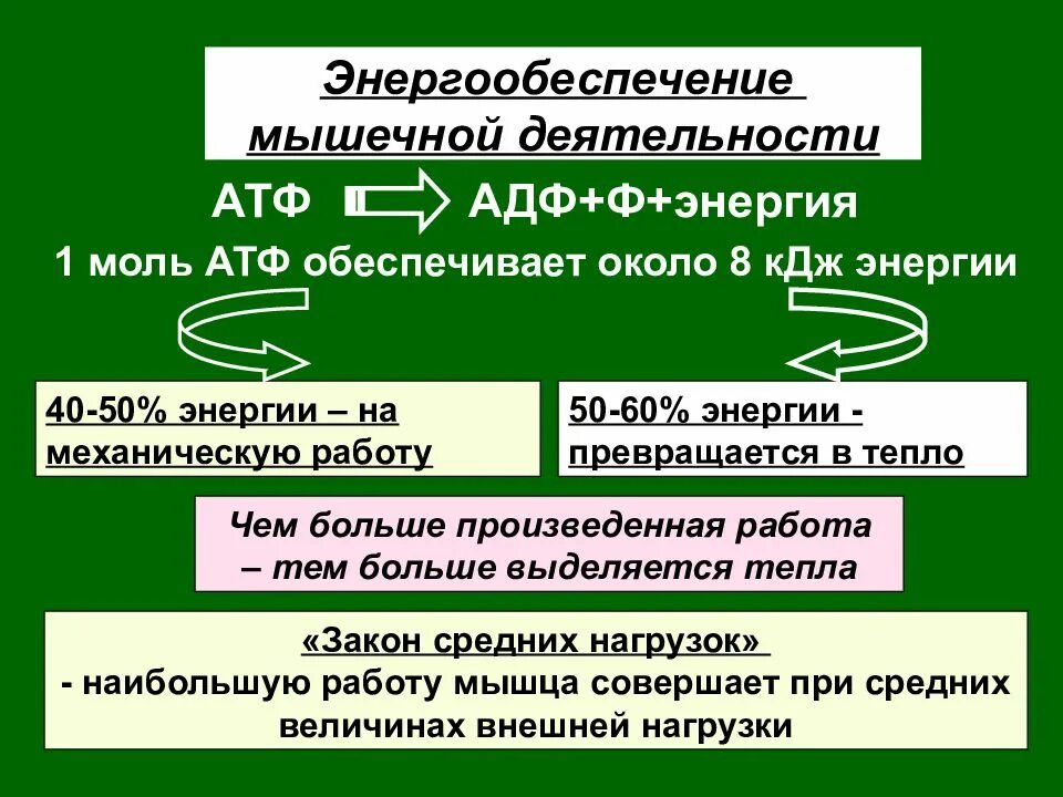 Аэробный механизм энергообеспечения мышечной деятельности. Механизмы энергообеспечения мышечной деятельности. Механизмы энергообеспечения мышечной деятельности. Анаэробные механизмы энергообеспечения. Схема энергетическое обеспечение мышечной деятельности.