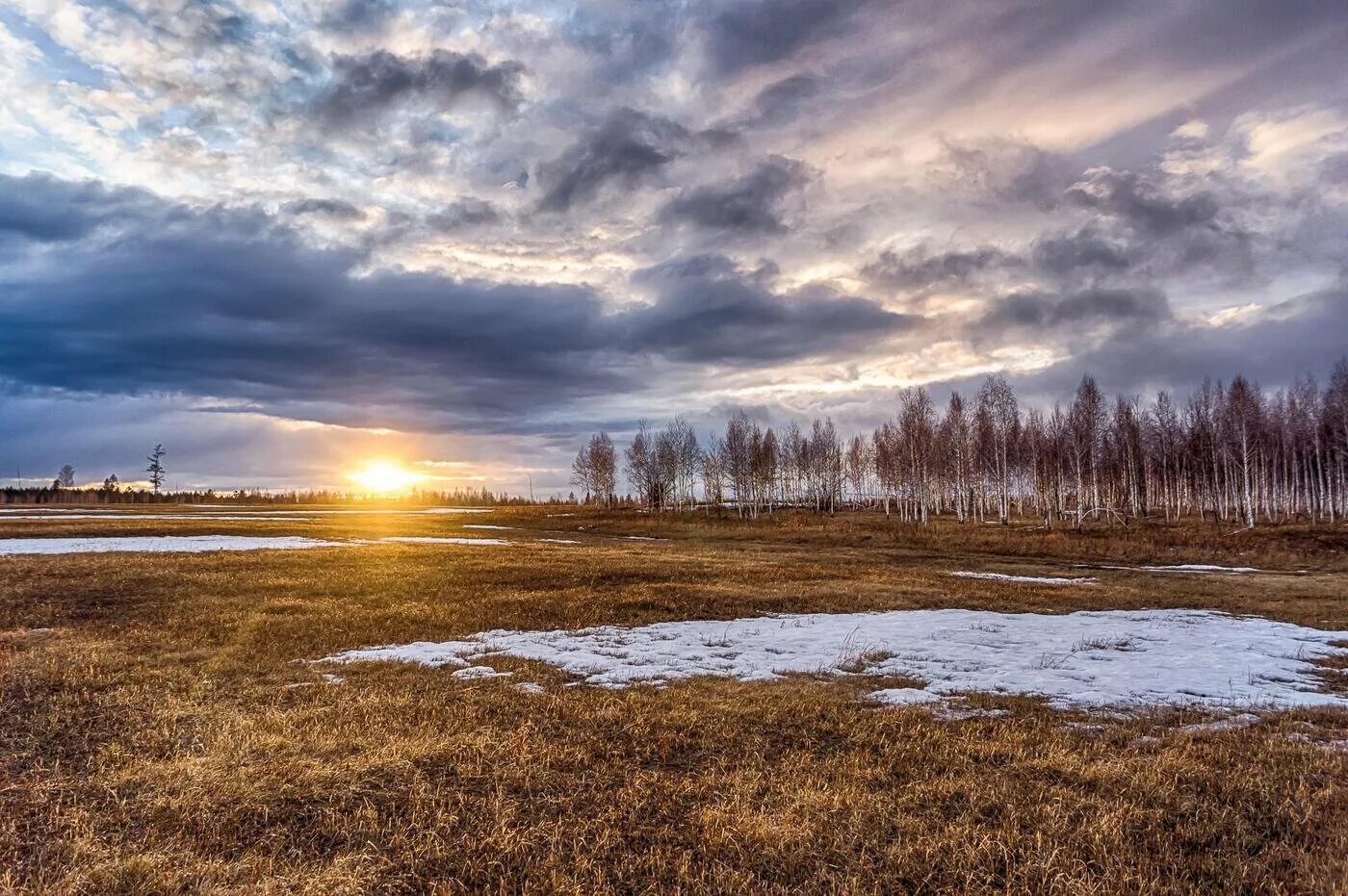 Весенний ручеек. Растения зимой. Проталины куинджи. Талый снег рисунок. Таяние снега.
