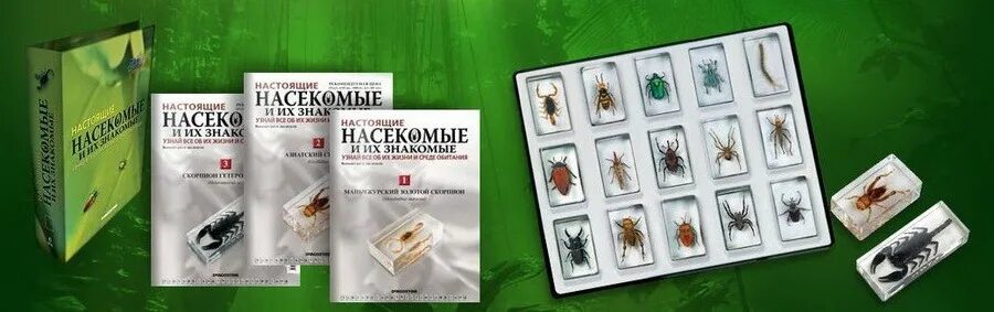 журналы коллекция насекомые и их знакомые. настоящие насекомые и их знакомые бабочки вся коллекция. животные и их знакомые. насекомые м их знакомые. коллекция журналов с насекомыми.