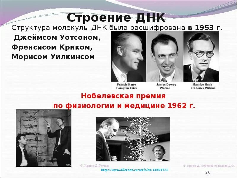 Э линдаль. Нобелевские лауреаты в медицине. Нобелевская премия за открытие днк. Морис уилкинс. Фрэнсис крик днк.