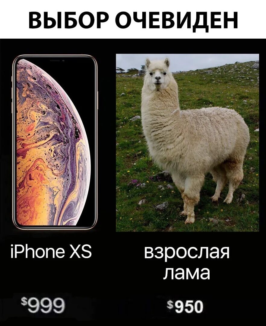 Выбор демотиватор. Морфеус выбор мем. Выбор был очевиден. Демотиватор трудность выбора. Выбор очевиден читать.