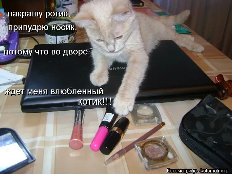 девушка на толчке. припудрить носик. припудрить носик мем. что означает припудрить носик. попудрить носик.