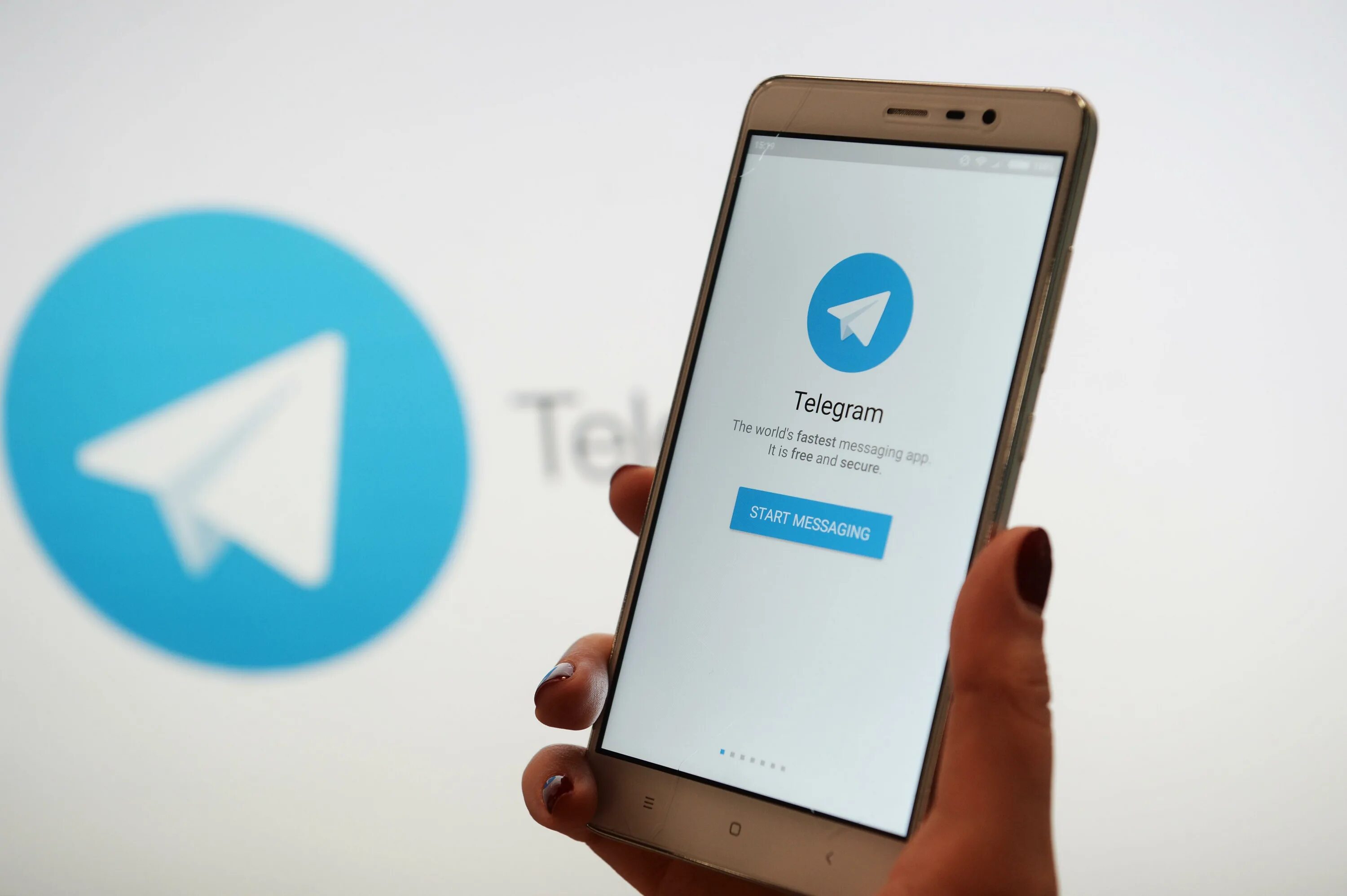 Телеграмм канал белых. Телеграм. Telegram мессенджер. Телеграм канал. Телеграм бот.