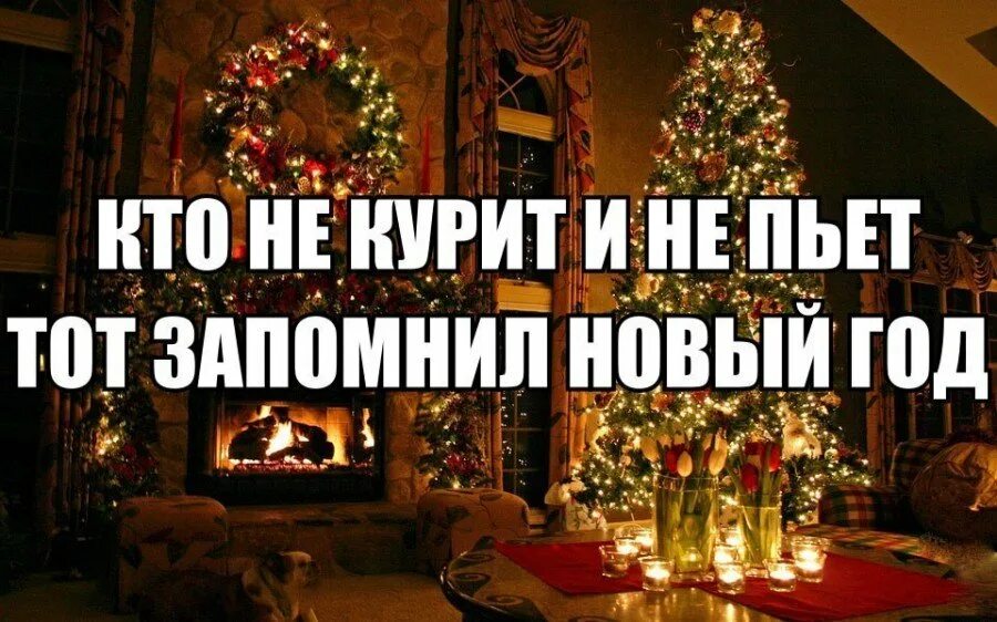 Потом праздник. После новогодних праздников. после новогодних праздников приколы. после нового года. поле нового года прикол.