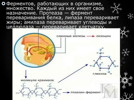 Амилаза жиры